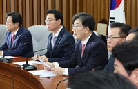 與, 개헌안 만들기로 "의회도 권한남용, 행정·입법권 상호견제 필요"