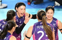 흥국생명 6연승…도로공사에도 우위