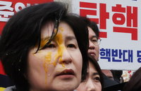 [이슈인 문답] 백혜련 의원 계란 투척 당해…경찰, 용의자 추적