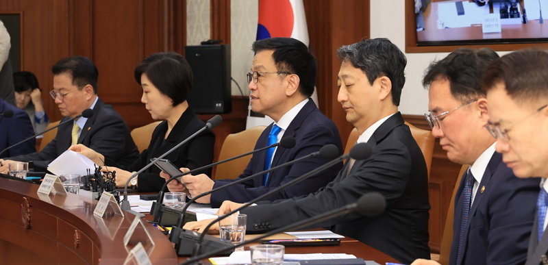 최상목 부총리