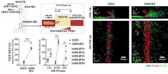 한국화학연구원이 개발한 생체모사 장기 칩 구조 [한국화학연구원 제공]