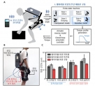 KAIST가 개발한 마이크로니들 센서가 적용된 웨어러블 로봇 [KAIST 제공]