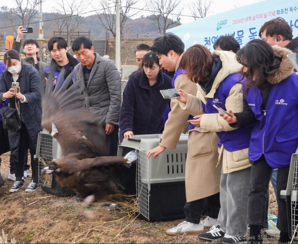 

 
​​▲효성 임직원들이 지난 2일 세계습지의날을 기념해 화포천습지생태박물관 일원에서 아사 위기에서 구조 및 치료한 독수리 3마리를 자연으로 다시 돌려보내고 있다.
​
​