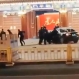시진핑 관저 돌진 차량