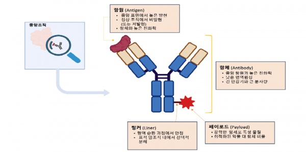 최근 떠오르는 차세대 ADC 항암제 구조 [한국보건산업진흥원 제공]