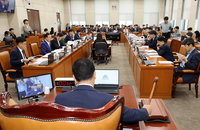 행안위, '13조 소비쿠폰' 추경안 처리…국비 100%로 발행