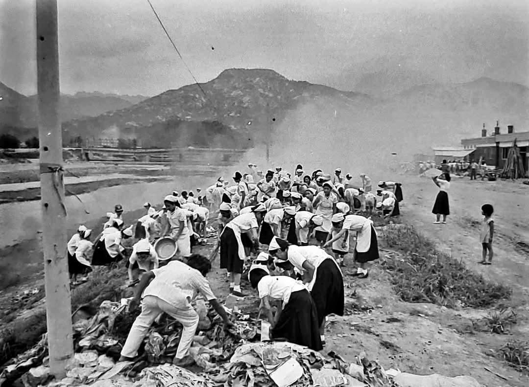 [1970년대 안양여고 학생들이 안양천 변에 나와 환경 미화 작업하는 모습]