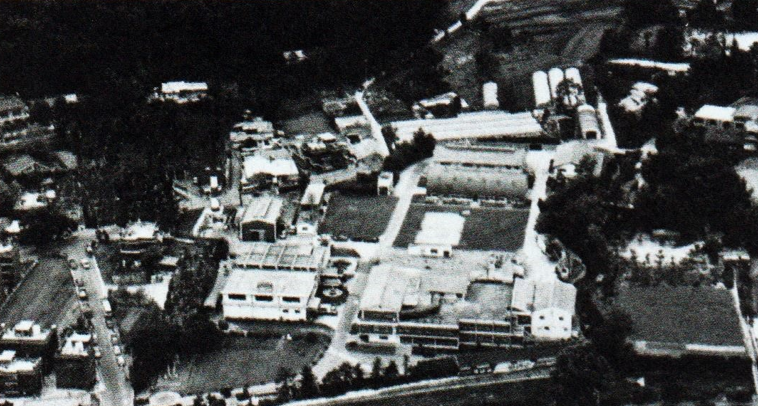 [시흥군 안양읍 신안양1리 유유산업(1960년대)]