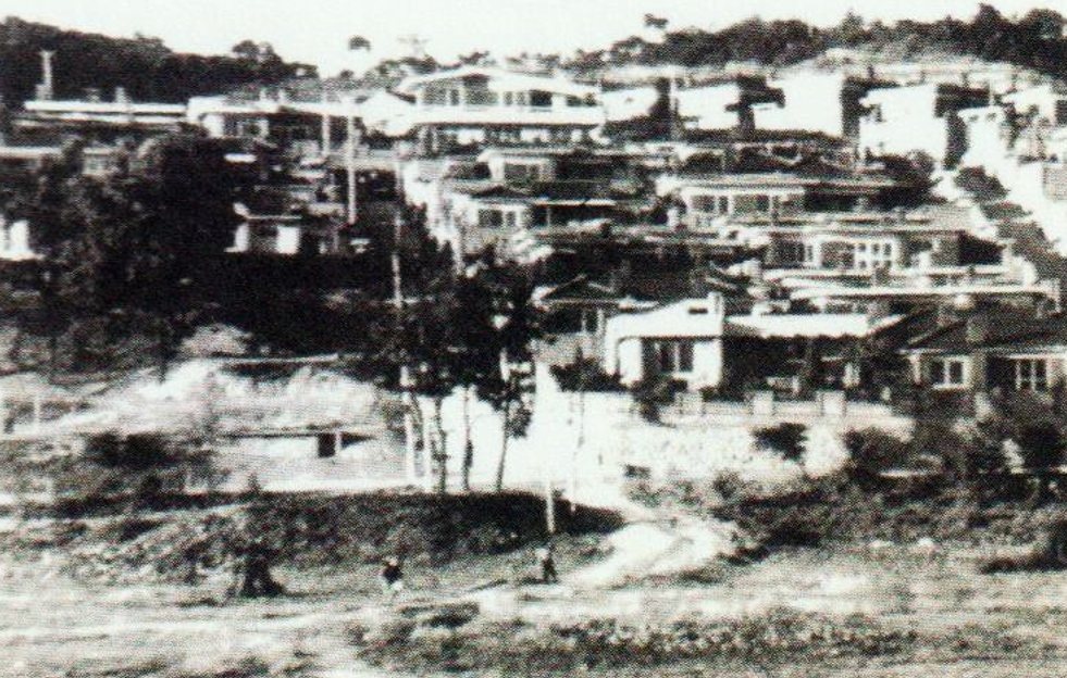 [안양시 비산동 희성촌(1976)]