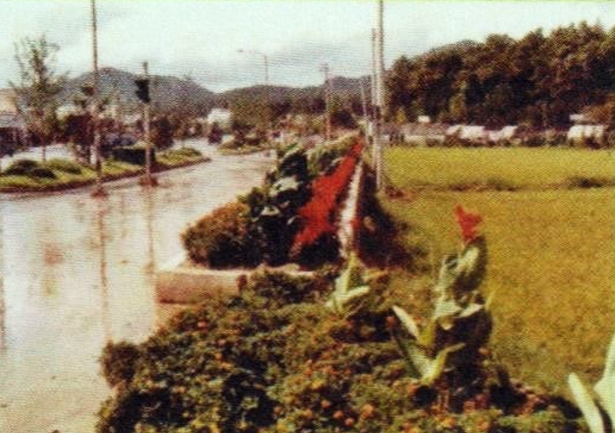 [안양시 관양2동 인덕원 1986]