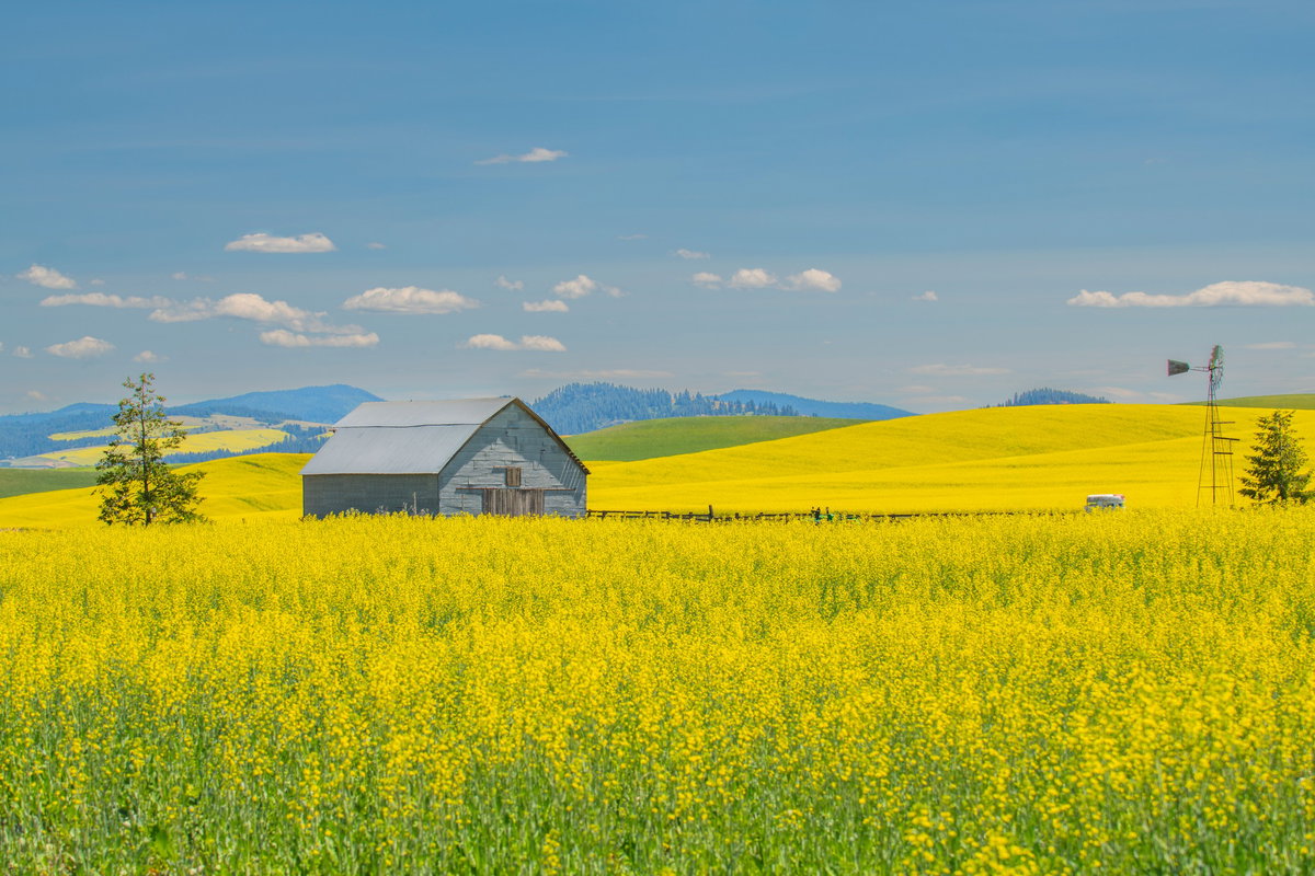 [평안 | Palouse, WA. 2022. 100 &times; 67 cm]