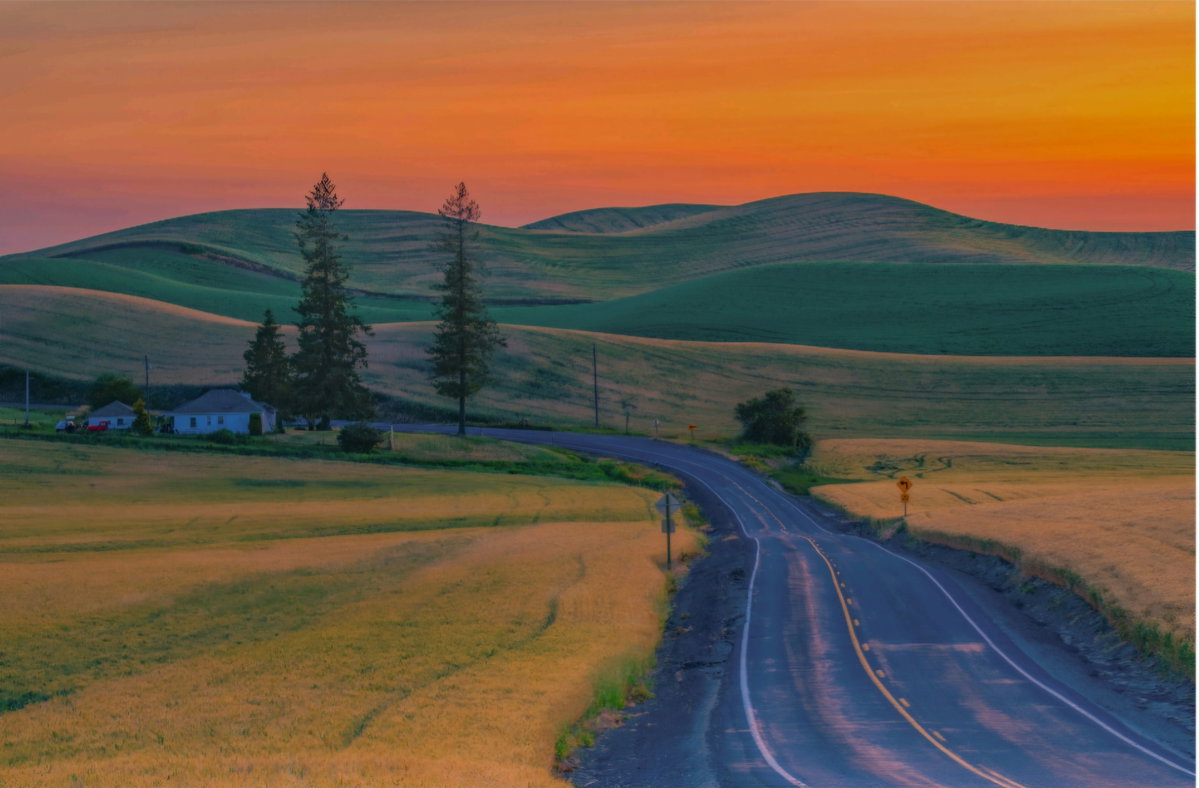 [집으로 가는 길 ( The Way Home ) | Palouse, WAI 2023 | 156 cm x 104 cm]