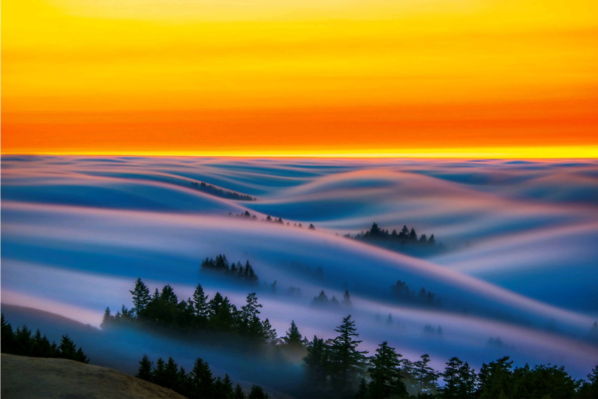[Westley Wind | Mt. Tamalpais State Park, CA. I 2016 I 156 cm x 104 cm]