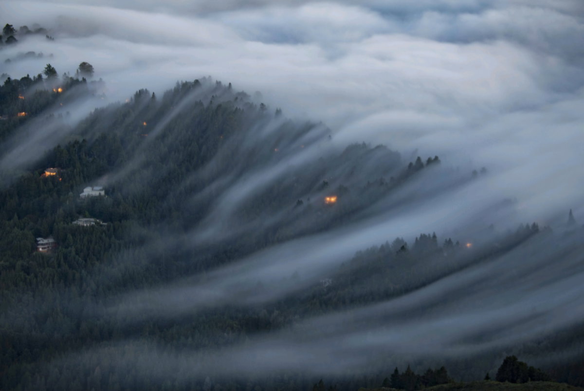 [청산별곡 I Mt. Tamalpais State Park, CA. | 2017 | 156 cm x 104 cm]