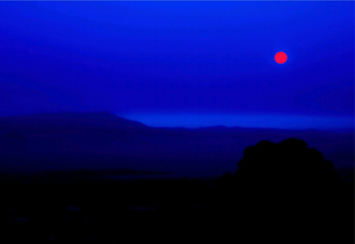 [Red in Blue Red in Blue - UC Borkeley Hilk. CA - 2015 - 156 c E x 104 cm]