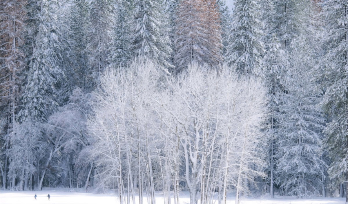 [Love Story in Winter | Yosemite National Park, CA | 2017 | 156 cm &times; 104 cm]