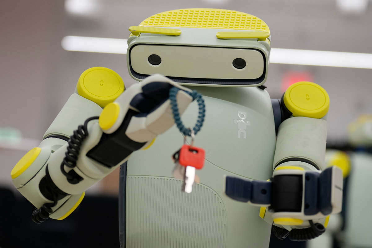Amazon Fauna Humanoid Robot