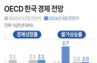 OECD 한국 성장률 1.7% 하향 조정 ... 경제 분석