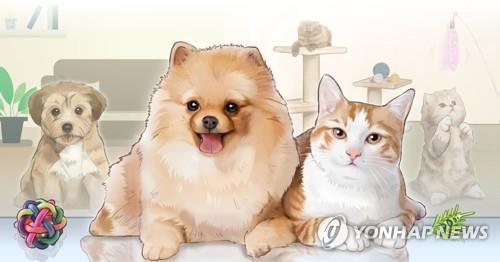 원주시 반려동물 교육 확대, 수혜 학생 2배 이상 증가 ... 생명존중 문화 확산