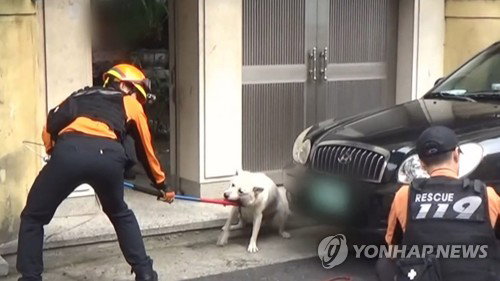 119대원 개물림 사고, 응급구조 현장 1명 부상 ... 시민 협조 요청