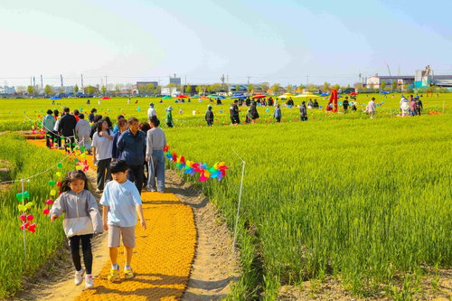 군산 꽁당보리축제 21회, 24일 개막 ... 지역 문화 활력 기대