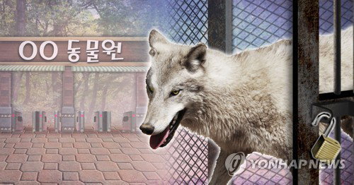 늑대 1마리 탈출 ... 대전 오월드 비상