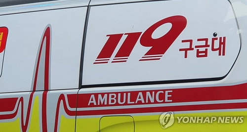 서산서 덤프트럭 정비하던 60대, 차에 끼여 심정지
