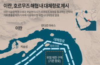 美 "美구축함 2척 호르무즈 해협 통과…기뢰제거 준비 작업"