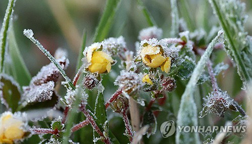 강원 일교차 큰 날씨&hellip;내륙&middot;산지 서리