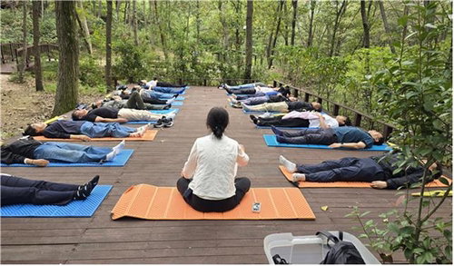 부산시, 12월까지 산림교육 프로그램 본격 운영