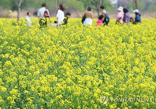 초여름 더위 27도 육박&hellip;내일 전국 맑음, 일교차 15도 이상 유의