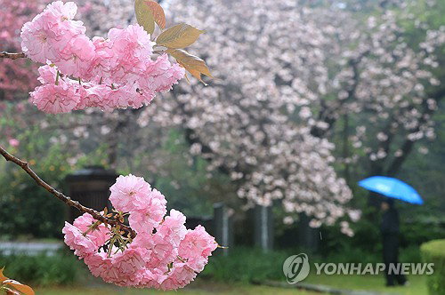 제주, 맑은 하늘 오후부터 흐림&hellip;낮 기온 21도 전망