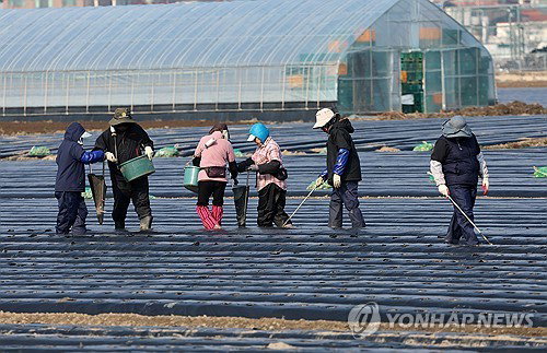 청주시, 외국인 계절근로자 입국 즉시 행정&middot;금융&middot;의료 원스톱 지원