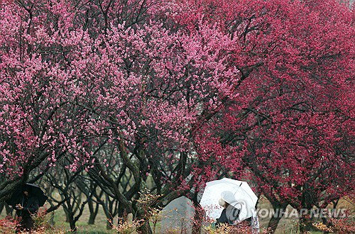 대구&middot;경북, 18일까지 최고 20㎜ 비&hellip;건조특보 해제 전망