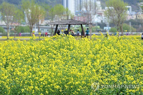 스프링 피크 현상 및 고위험군 진단 기준