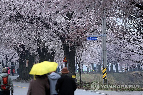 강원 영서&middot;산지 5mm 미만 제한적 강수&hellip;밤부터 동해안 강풍&middot;풍랑 대비