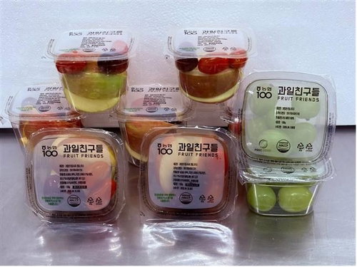 원주시 초등돌봄교실 친환경 과일간식 무상 지원... 아동 2,304명 수혜 확정