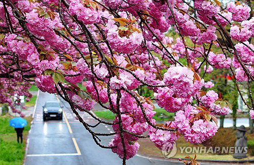 제주 남해상 저기압 영향권 진입&hellip;최대 80mm 강수 예보