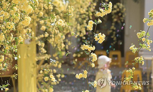 제주, 9도 일교차와 강풍 예보