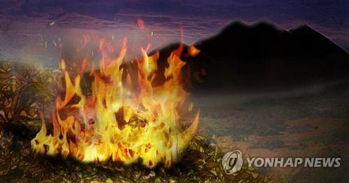 강원 7개 시군 건조주의보 신규 발효 | 12개 지역 건조특보 유지로 산불 경고 증폭