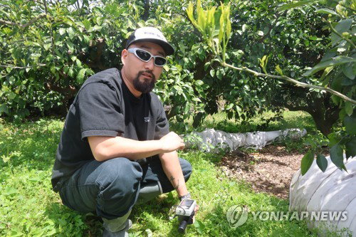 데이터 기반 감귤 재배, 청년 농업인 손주민 씨의 혁신 농법 | 2026 청년농업인대상