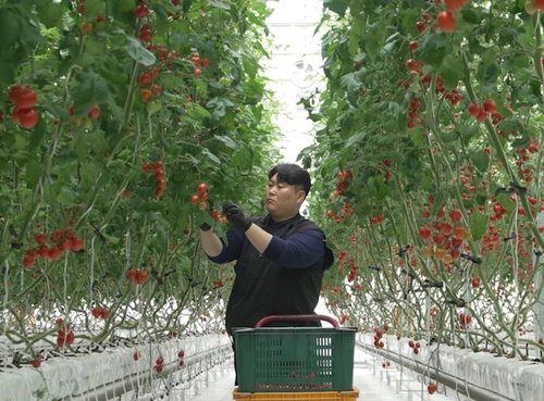 청년 농업인 우민재, 4년 만에 농업소득 4배 성장