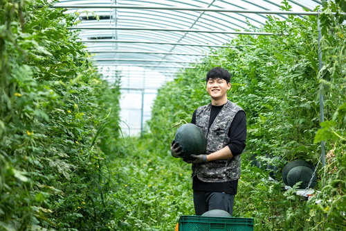 청년 농업인 서동형, 수박 직거래로 연 750통 생산 달성