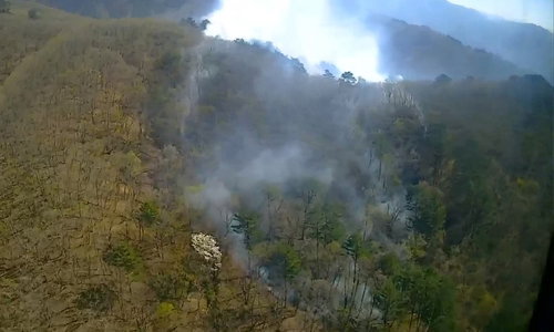 인제 용대리 산불, 헬기 9대&middot;인력 107명 총력 진화&hellip;초속 2.1m 바람 속 확산 저지 주력