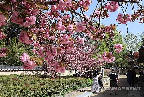 대구&middot;경북 낮 최고 26도 도달, 25도 일교차 | 건조특보 발효, 화재&middot;건강 관리 당부
