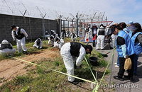 여객기 참사 특수단 수사 2주 연장, 71명 입건