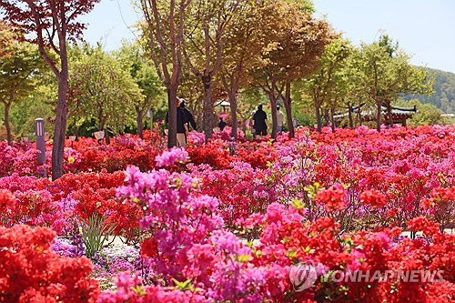 전북 26도 초여름 기온, 건조주의보 4곳 발령