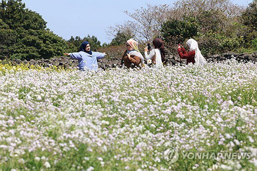 제주 흐린 날씨 속 빗방울 예보, 낮 최고 18도 전망&hellip;시설물 관리 주의보