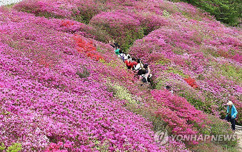 대구&middot;경북 건조주의보 확대, 낮 최고 21도 예보 속 화재 위험 고조