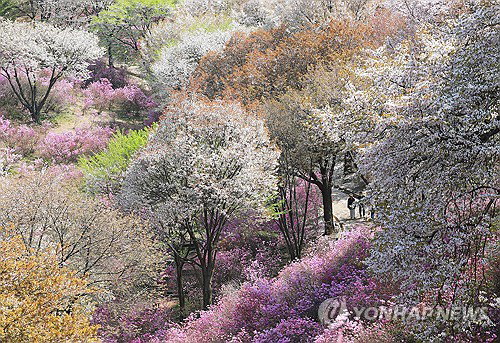 대구&middot;경북 건조특보 확산, 낮 기온 27도 육박하며 산불 위험 고조